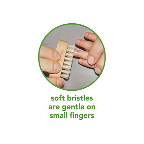 green sprouts Nail Brush