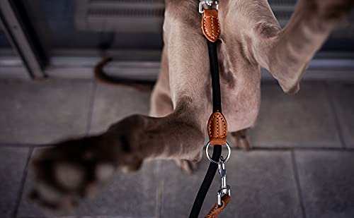 Multi-Function Hands Free Dog Rope Leash (7ft) - Strong Dog Training Leads, 1.4cm Thick Nylon Dog Lead [3 Adjustable Lengths] for Small Medium Large Dogs Service Walking Running Black 7ft x 1/2" - BeesActive Australia