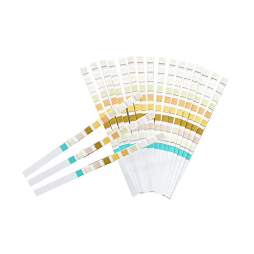 Health Test Strips (100Pcs Urine Test Strips) 100pcs Urine Test Strips - BeesActive Australia