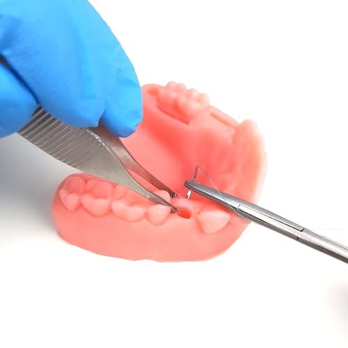 Dental Suture Practice Kit Dental Training Simulation Sets