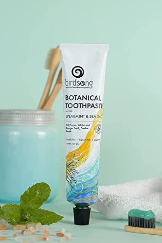 Birdsong Botanical Sea Salt and Spearmint Toothpaste 3.5 oz (100 GMS)