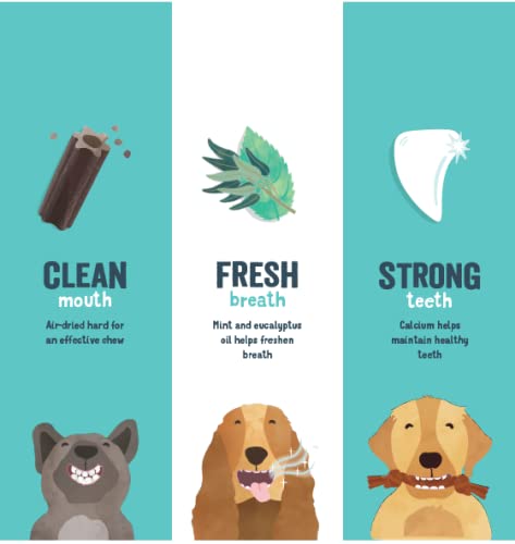 Edgard & Cooper Natural Medium Dog Dental Stick Treats 7 Chew Sticks Dental Hygiene Mint & Strawberry, One per Day, Low Calorie, Long Chewing Effectiveness, Fresh Breath Mint/Strawberry 1 count (Pack of 7)