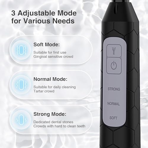 Plaque Remover for Teeth, Dental Care Device 3 Adjustable Modes Teeth Cleaning Kit with 2 Replaceable Clean Heads for Tartar & Calculus Remover