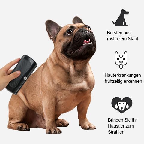 Groomify Pet Care Brush, Dog Brush Short Hair, Mr Waggytails Dog Brush, Dog Short Hair Pet Hair Removal Brush, Groom Professional Tool Cat Hair Brush, Fellwunder Brush Dog - BeesActive Australia