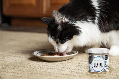 InClover Dental Powder for Dogs & Cats, Natural Teeth Cleaning
