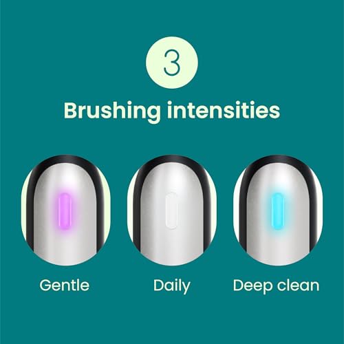 Quip Rev Oscillating Rechargeable Electric Toothbrush with Extra Brush Head - Soft Bristles, Pressure Sensor, 3 Intensities, 30-Day Battery Life, 2-Min Timer, Travel Case, Mirror Mount - Blue Stone