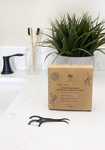 Refillable Silver Container and Dental Floss Picks Bundle!