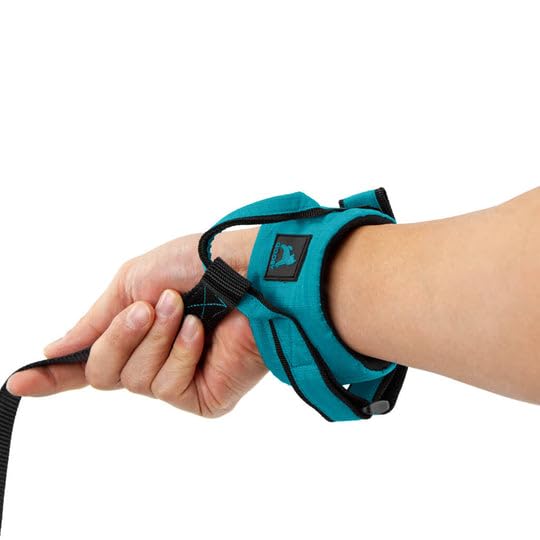 Gooby Ripstop Z Wrist Band Surfer Leash - Turquoise, 6 FT - Comfortable Hands Free Leash with Elastic Band for Small, Medium and Large Dogs - BeesActive Australia