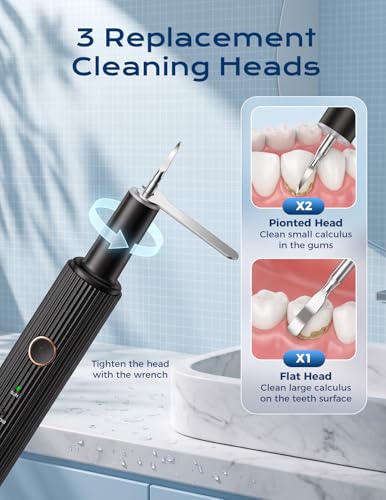 Ultrasonic Plaque Remover for Teeth - Dental Tartar Remover with LED Light, 4 Modes Rechargeable Teeth Cleaning Kit, Electric Dental Calculus Remover with 3 Stainless Steel Heads for Home & Travel Black