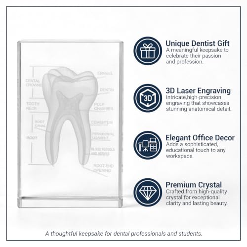 Ultrassist 3D Crystal Tooth Model, Laser-Etched Dentist Gift & Desk Decor