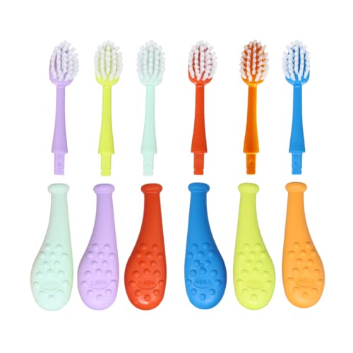 RADIUS Big Kidz Forever Brush Replaceable Head for Children, 6 Years and Up, BPA Free ADA Accepted for Growing Teeth and Gums, 2 Heads - Extra Soft Coral, Blue, Chartruese, Mint, Lavendar, Tangerine 1 Count (Pack of 6)