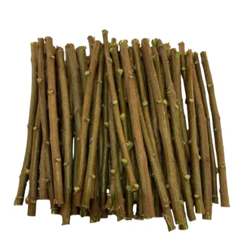 Ayurvedic Neem Datun Sticks, Half Sun Dried Neem Twigs, Vacuum Packed Wooden Chew Sticks, Daily Use Brushing Alternative, 6-8 Inch, Pack of 10 & 1 Piece Free