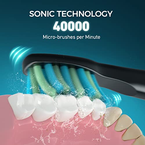 TEETHEORY Electric Toothbrush for Adults with 8 𝐁𝐫𝐮𝐬𝐡 𝐇𝐞𝐚𝐝𝐬 and 6 Replacement Brush Heads
