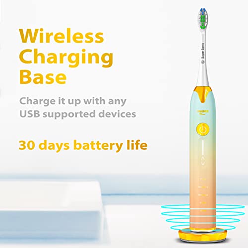 Wagner Stern Ultrasonic Toothbrush with Pressure Sensor, Peach/Blue, Battery Powered, Unisex-Adults