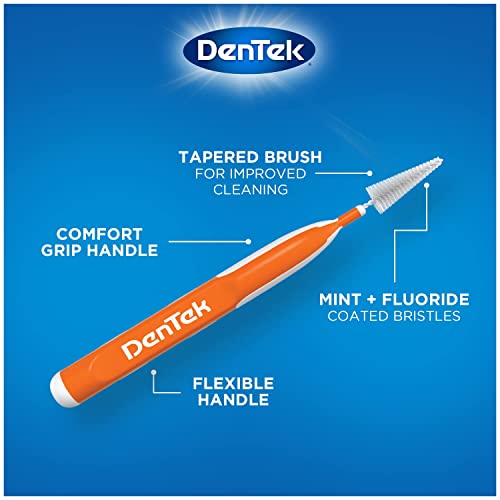 DenTek Easy Brush Interdental Cleaners, Between Teeth Brushes for Plaque Removal, Dental Picks for Oral Care, Mint, 16 Count (Pack of 10) 16 Count (Pack of 10)