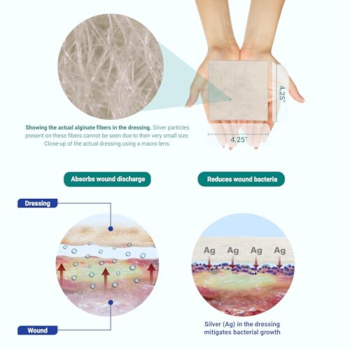 Areza Silver Calcium Alginate Antibacterial Wound Dressing Pads – Sterile, Non-Stick, Highly Absorbent; for Wound Drainage & Infection Risk (4.25″×4.25″, 20-Pack per Box), 1 Box 20 Count (Pack of 1)