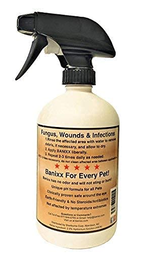 BANIXX Essential First-Aid Solution - BeesActive Australia