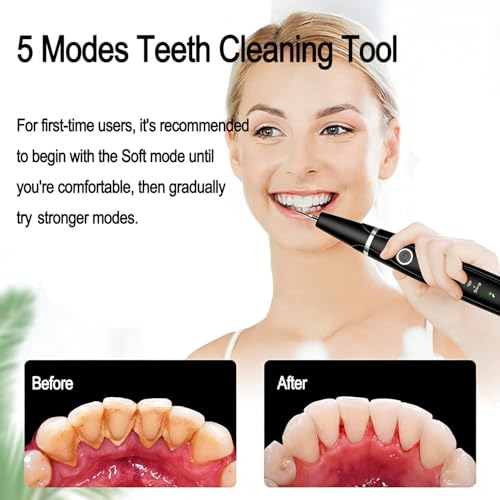 Sonic Dental Cleaner, Dental Cleaner with LED Light, 5 Modes Teeth Cleaning Tool, 3 Replaceable Heads for Home & Travel, IPX6 Waterproof