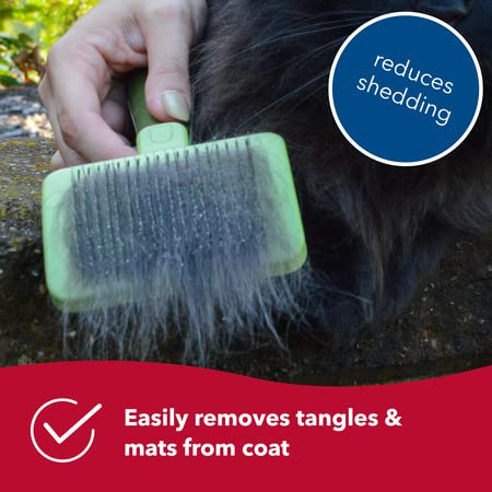 Coastal Pet Safari - Cat Self-Cleaning Slicker Brush - Cat Grooming Supplies Pack of 1 - BeesActive Australia