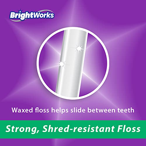 BrightWorks Dental Floss Mint Waxed 100yd 4-Pack for Oral Hygiene