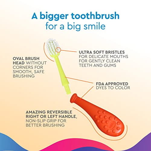 RADIUS Big Kidz Forever Brush Replaceable Head for Children, 6 Years and Up, BPA Free ADA Accepted for Growing Teeth and Gums, 2 Heads - Extra Soft Coral, Blue, Chartruese, Mint, Lavendar, Tangerine 1 Count (Pack of 6)