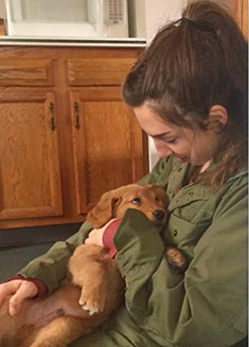 iCalmPet | Through a Dog's Ear: Calm Your Puppy | Micro SD Card | 3-hrs | Early Treatment of Noise Phobias and Sound sensitivities in Younger Canines - PawsPlanet Australia
