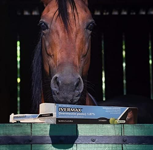 Ivermax (Ivermectin) Equine Paste 6.08 Gram 1 Pack, Blue - BeesActive Australia
