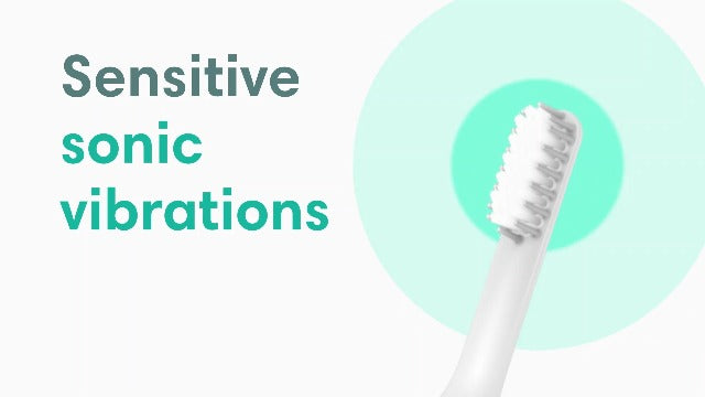 Quip Sonic Toothbrush for Adults - Timed Electric Toothbrush with Cover - Replaceable Brush Head, Soft Bristles, Plastic Handle, 3 Month Battery Life - Travel Toothbrush - Blue