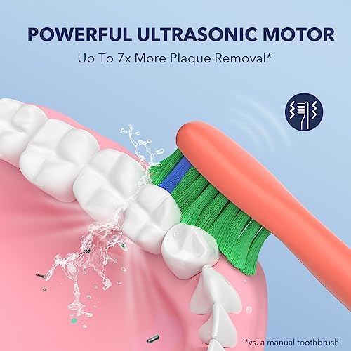 ARISSON Sonic Electric Toothbrush for Adults and Kids, 40,000 VPM Power Toothbrush, 1.5H Fast Charge Ultrasonic Electric Toothbrushes with 2 Minutes Smart Timer, 1.6 Oz Travel Toothbrush, Peach Orange 1 Count (Pack of 1)