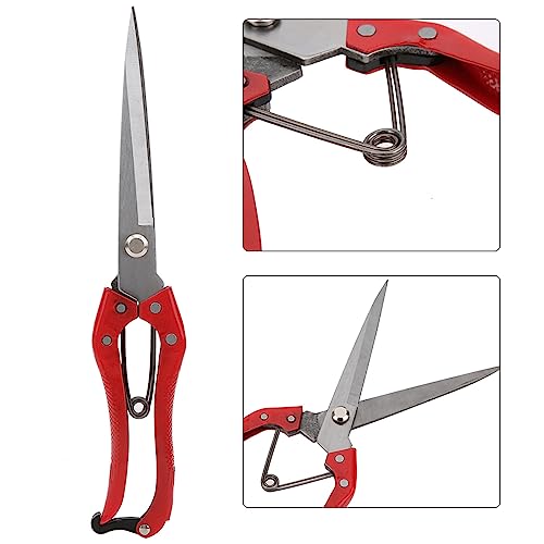 Hztyyier hand scissors cattle, horse, wool, rabbit hair, mane scissors, horse, sheep, goat hair, scissors, wool scissors for hand scissor cutting - BeesActive Australia