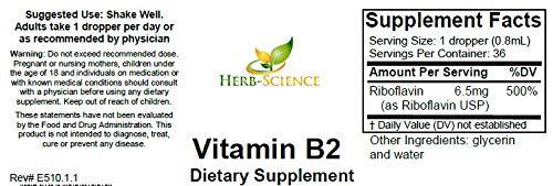 Vitamin B2 Liquid Drops, Riboflavin, Alcohol-Free, 1 Oz | Made with Only 3 Premium Ingredients, Vegan and Non-GMO, in an Easy-to-Take Liquid Formula Bottled in Protective Cobalt Glass 1 Fl Oz (Pack of 1)
