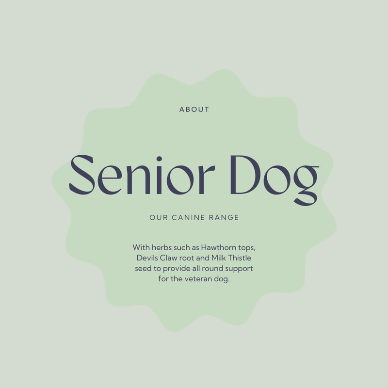 Hilton Herbs Senior Dog Optimum Health Supplement for Older Dogs, 4.4 oz Tub