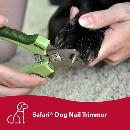 Coastal Pet Safari Professional Dog Nail Trimmer - Dog Nail Clippers for Grooming - Dog Claw Care for Small & Large Dogs - Nail Trimmer - Pet Supplies for Dog Grooming - Standard, 5" x 1.5" - BeesActive Australia
