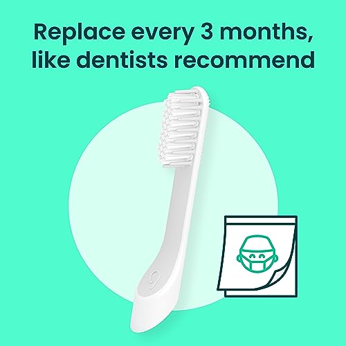 quip Sonic Toothbrush Replacement Heads for Adults - 3 Pack - Verified quip Standard Brush Head Refills for Electric Toothbrushes - Soft Bristles, Compact & Flexible - Last 3 Months Each 3 Count (Pack of 1)