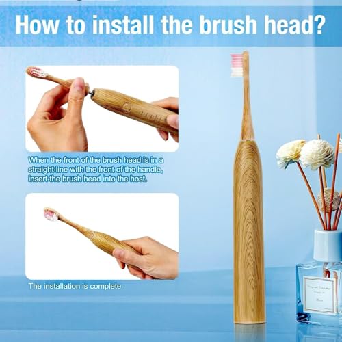 Bamboo Electric Toothbrush Replacement Heads, 8-Pack - Includes 3 Castor Oil Bristle Heads 2 Dupont Bristle Heads, and 3 Delicate PBT Tapered Bristle Heads