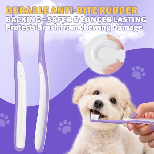 Tiny Dog Toothbrush for Small Dogs + Natural Coconut Oil Cat & Dog Toothpaste.
