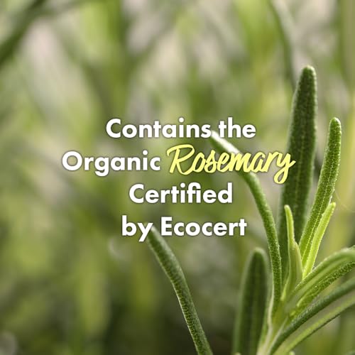 RATED GREEN Scalp Scrub for Itchy Flaky Oily Scalp 6.76 fl oz Rosemary Peppermint and Sea Salt 6.76 Fl Oz (Pack of 1)