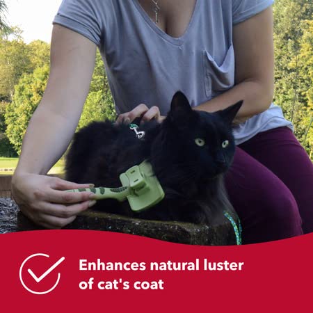 Coastal Pet Safari - Cat Self-Cleaning Slicker Brush - Cat Grooming Supplies Pack of 1 - BeesActive Australia