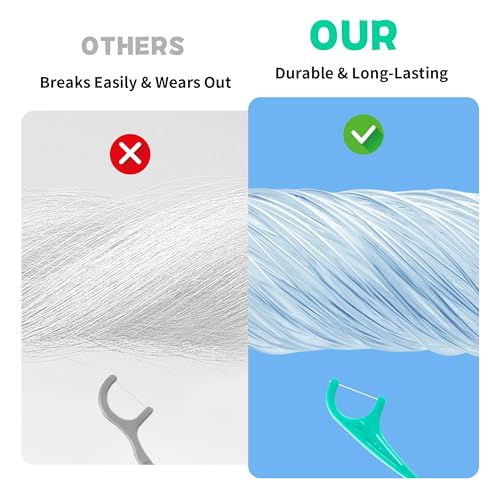 300 Count Mint Floss Picks – Dental Flossers with 5 Travel Cases, Helps Prevent Cavities, Remove Plaque & Freshen Breath – Premium Toothpicks for Family