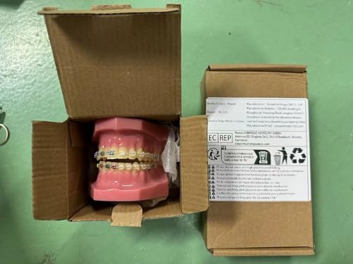 Orthodontic Model, YOUYA DENTAL 1/4 Metal self-Locking Comparison Orthodontic Model Orthodontic Tooth Model Dental Teaching Teeth Model with Metal Braces Bracket for Dentist Teaching Tools to Display 1/4 Metal self-Locking Model