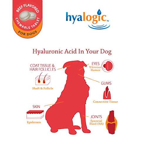 Hyalogic Pro Advanced HyaFlex for Dogs – Amazing Joint Support Supplement for Your Buddy – 30 Beef Flavored Wafers - Dog Joint Supplement w/Hyaluronic Acid, Glucosamine, MSM & Cynatine (30 Tablets) - PawsPlanet Australia