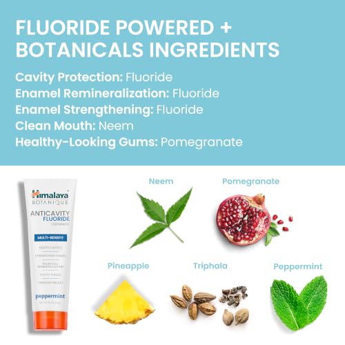 Himalaya Botanique Anticavity Fluoride Toothpaste, Peppermint, 4 oz, 4 Pack 4 Ounce (Pack of 4) Adult Peppermint
