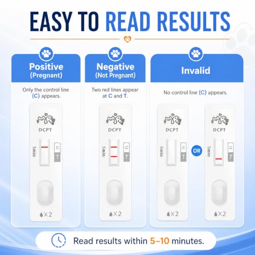 Dog & Cat Pregnancy Test Kit (2 Pack), Reliable Accurate Urine Test, 10 Minute Fast Readings, Gentle Non-Invasive Home Test for Household Pets 2 Pack