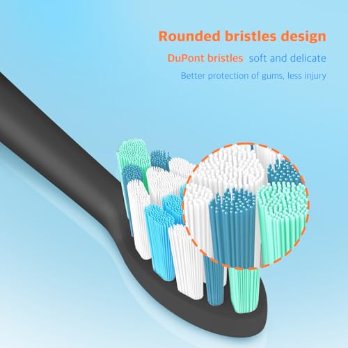 6Family Set Electric Toothbrush Replacement Head Foroclean-Black Black 1 Count (Pack of 8)