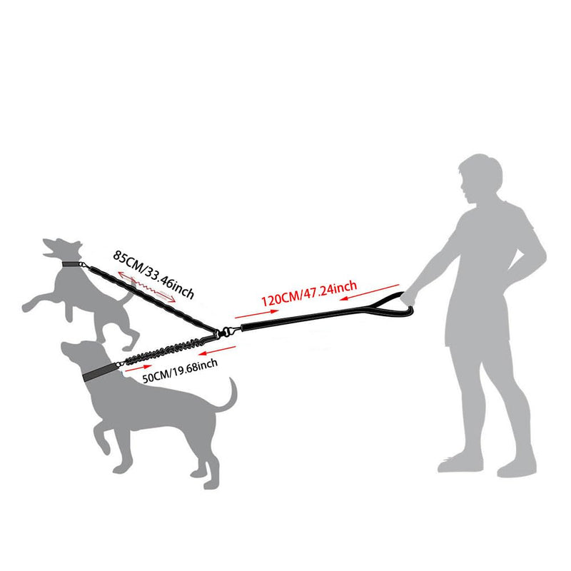 2 Dog Leash 360° Swivel No Tangle Double Dog Walking & Training Leash Comfortable Shock Absorbing Reflective Bungee for Small or Large Dogs - BeesActive Australia