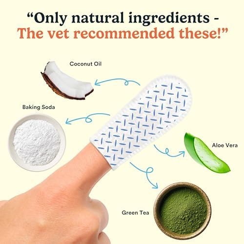 Jasper Dog Dental Wipes, Vet-Recommended Natural Cat & Dog Teeth Cleaning Wipes Dog Teeth Cleaner, Disposable Wipes Fresh Breath PlaqLift Technology Attacks Plaque and Buildup, Coconut, 60 Count