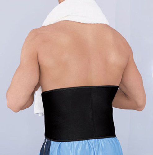 ACE Contoured Back Support,1 Count (Pack of 1),205324