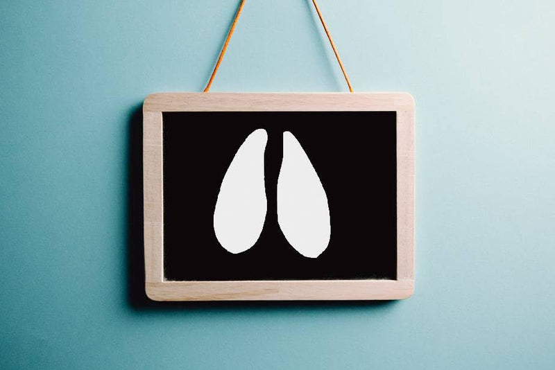Deer Hoof Prints Design Stencil, 4-Inch, Reusable Mylar Cutout for Nature-Themed Art, Crafts & DIY Projects - BeesActive Australia