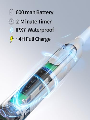 Rotating Electric Toothbrush, Round Head, Gentle on Gums White
