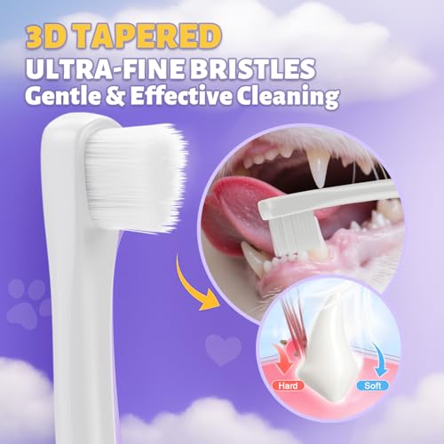 Cat Toothbrush for Kitten Teeth Cleaning + Natural Coconut Oil Cat & Dog Toothpaste